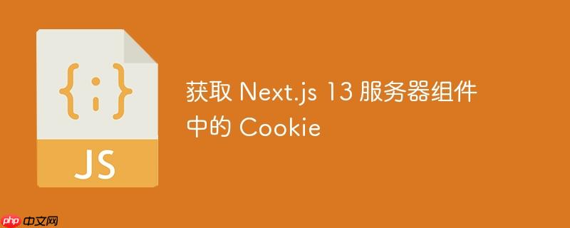 获取 Next.js 13 服务器组件中的 Cookie