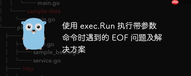 使用 exec.Run 执行带参数命令时遇到的 EOF 问题及解决方案