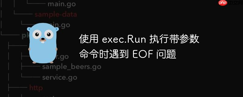 使用 exec.Run 执行带参数命令时遇到 EOF 问题