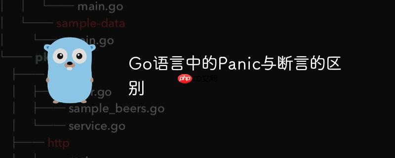 Go语言中的Panic与断言的区别