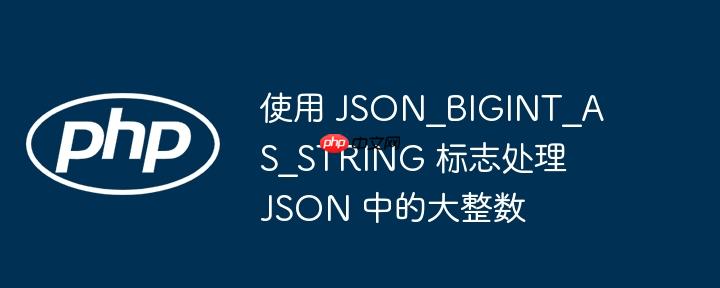 使用 json_bigint_as_string 标志处理 json 中的大整数