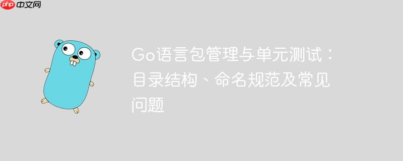 Go语言包管理与单元测试：目录结构、命名规范及常见问题