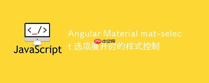 Angular Material mat-select 选项展开时的样式控制