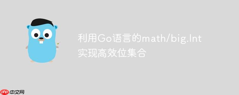 利用Go语言的math/big.Int实现高效位集合