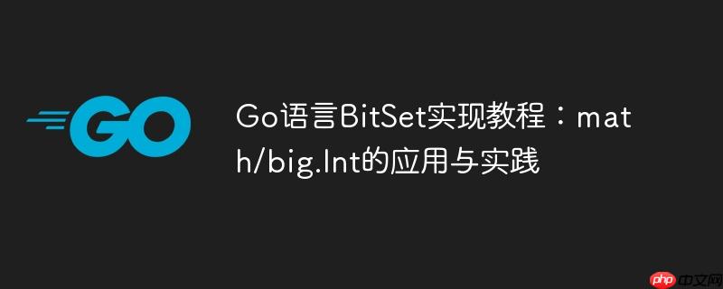 Go语言BitSet实现教程：math/big.Int的应用与实践