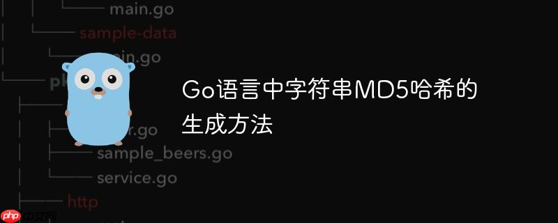 Go语言中字符串MD5哈希的生成方法