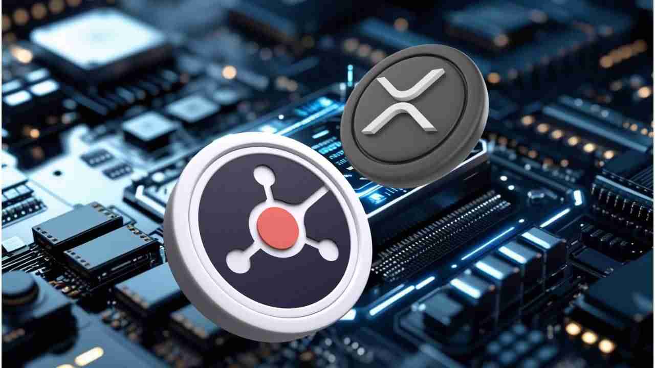 Ruvi AI 与 Ripple：接受审计的代币成为焦点