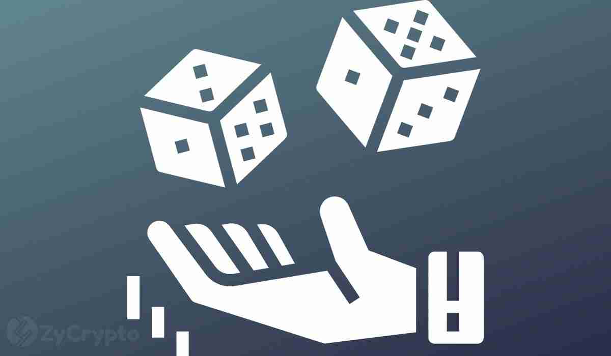 以太坊、卡尔达诺与GitHub活动：开发者的视角