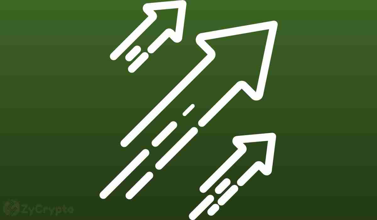 XRP、SOL 与 ETF 批准热潮：下一步是什么？