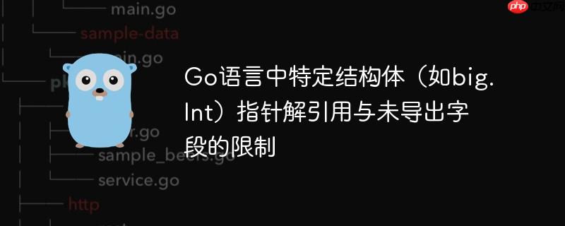 Go语言中特定结构体（如big.Int）指针解引用与未导出字段的限制