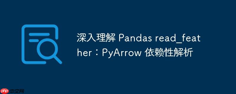 深入理解 Pandas read_feather：PyArrow 依赖性解析
