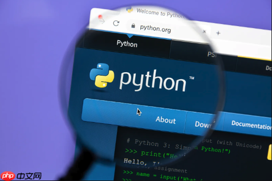 Python中如何使用装饰器？语法与应用场景解析
