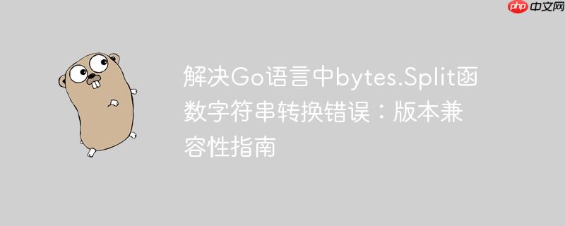 解决Go语言中bytes.Split函数字符串转换错误：版本兼容性指南
