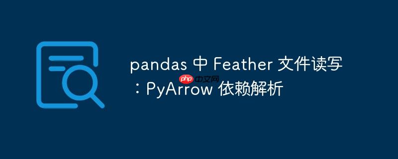 pandas 中 Feather 文件读写：PyArrow 依赖解析