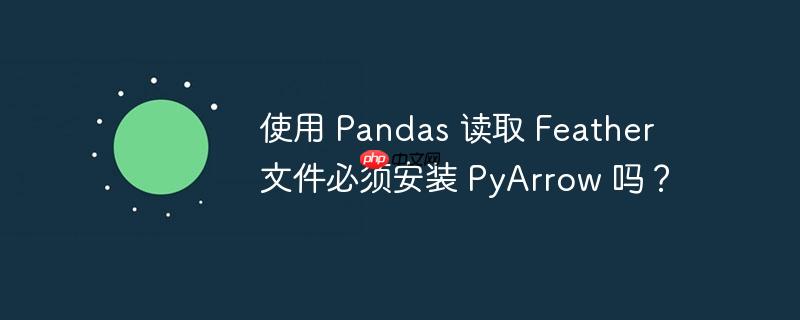 使用 pandas 读取 feather 文件必须安装 pyarrow 吗？