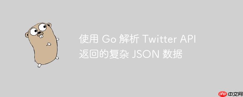 使用 Go 解析 Twitter API 返回的复杂 JSON 数据