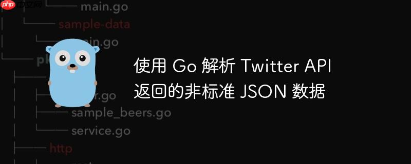 使用 Go 解析 Twitter API 返回的非标准 JSON 数据