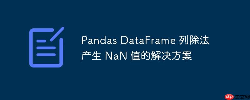 pandas dataframe 列除法产生 nan 值的解决方案