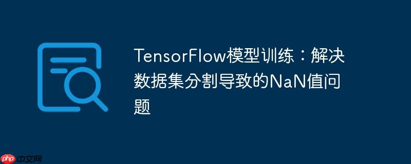 TensorFlow模型训练：解决数据集分割导致的NaN值问题