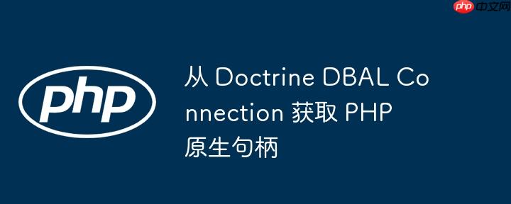 从 doctrine dbal connection 获取 php 原生句柄