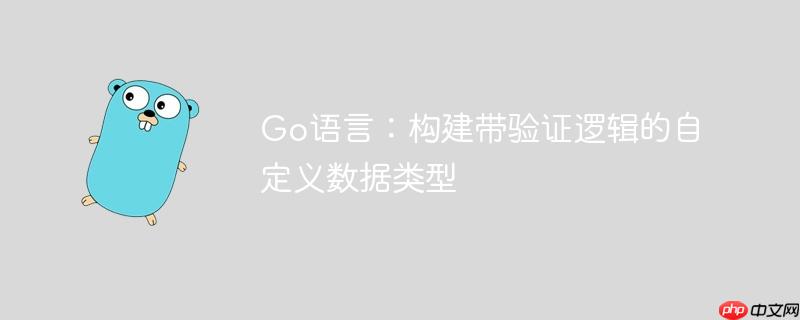 Go语言：构建带验证逻辑的自定义数据类型
