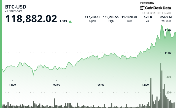 BTC、XLM、HBAR：在不夜城中驾驭加密货币浪潮