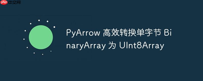 pyarrow 高效转换单字节 binaryarray 为 uint8array