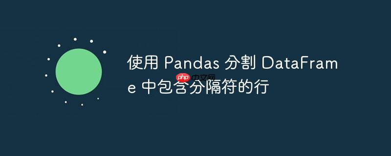 使用 pandas 分割 dataframe 中包含分隔符的行