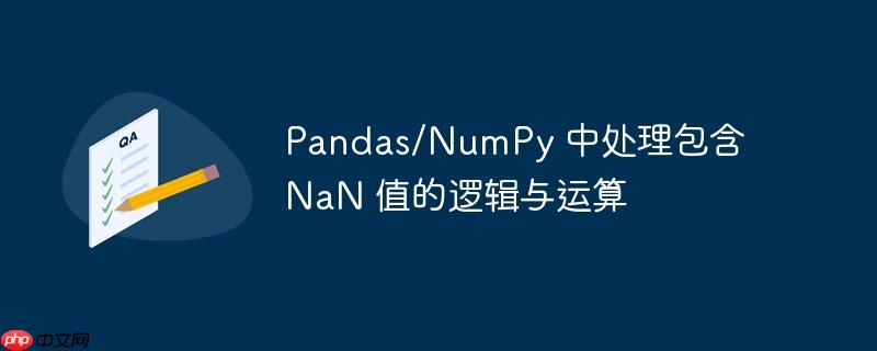 pandas/numpy 中处理包含 nan 值的逻辑与运算