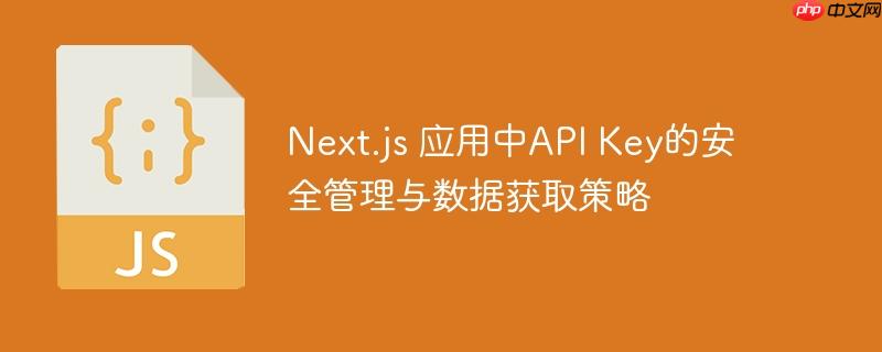 next.js 应用中api key的安全管理与数据获取策略