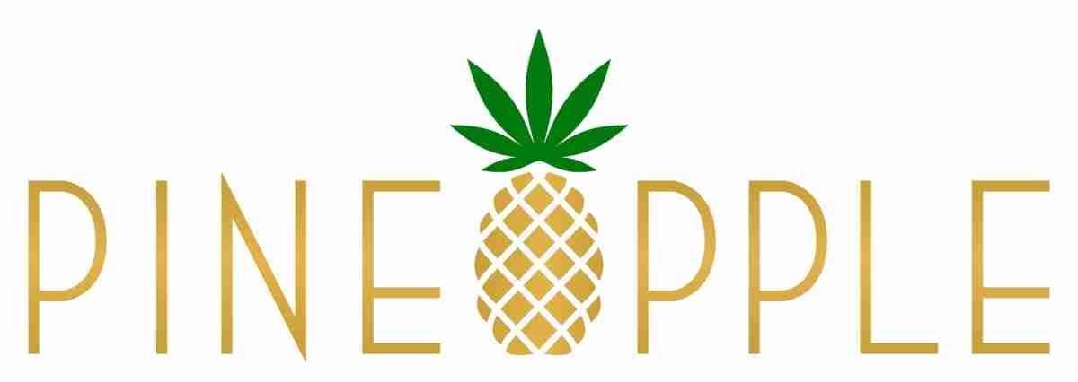 菠萝公司乘风RWA浪潮：为未来知识产权赋予代币化价值