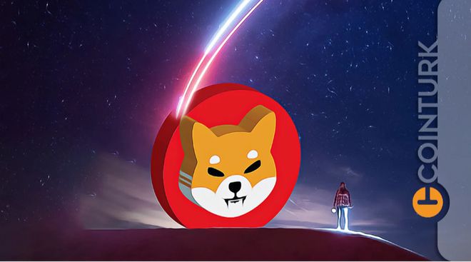 想投资MEME币？Doge、Shib、Pepe买哪个好？（2025深度分析） - 创想鸟