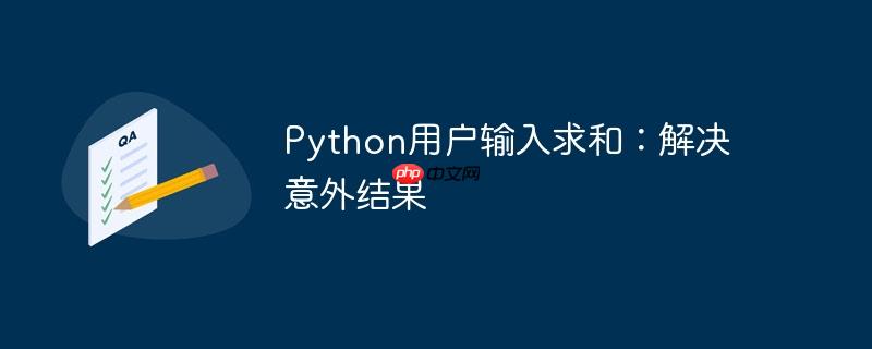 python用户输入求和：解决意外结果
