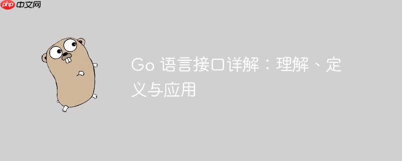 Go 语言接口详解：理解、定义与应用
