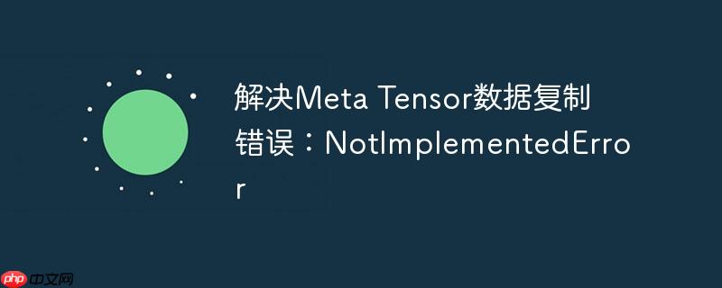 解决meta tensor数据复制错误：notimplementederror