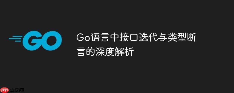 Go语言中接口迭代与类型断言的深度解析