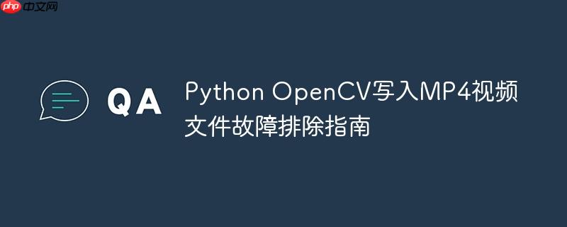 Python OpenCV写入MP4视频文件故障排除指南