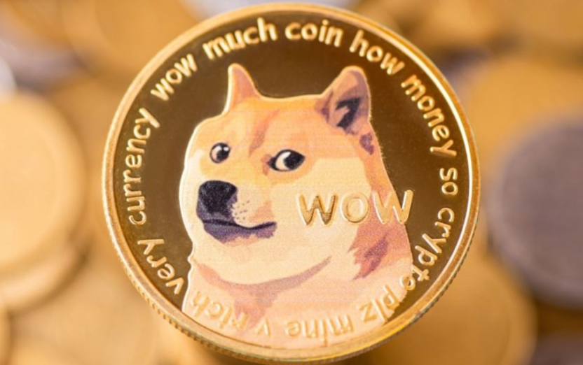 狗狗币适合做定投吗_狗粉长期持仓策略探讨