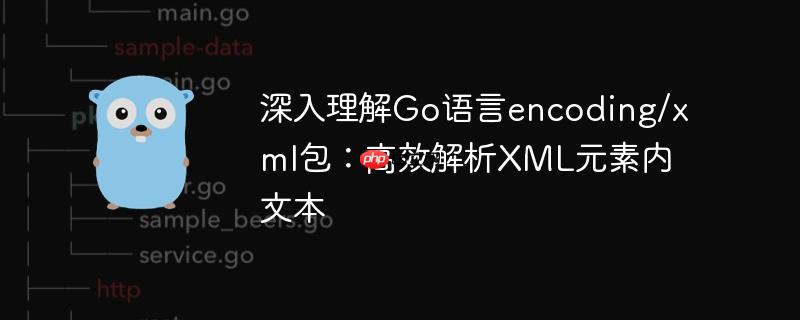 深入理解Go语言encoding/xml包：高效解析XML元素内文本