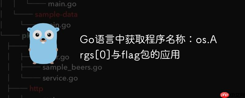 Go语言中获取程序名称：os.Args[0]与flag包的应用