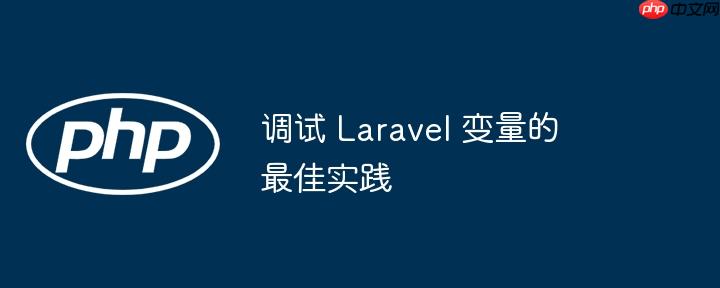 调试 laravel 变量的最佳实践