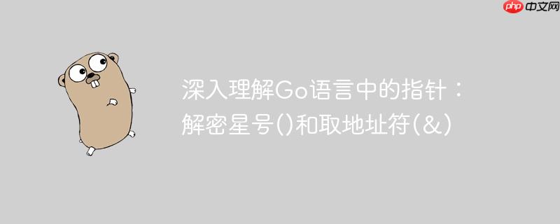 深入理解Go语言中的指针：解密星号()和取地址符(&)