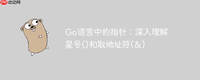 Go语言中的指针：深入理解星号()和取地址符(&)