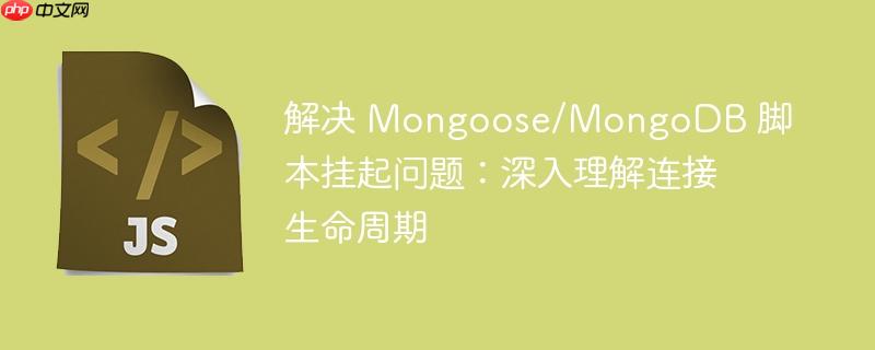 解决 mongoose/mongodb 脚本挂起问题:深入理解连接生命周期