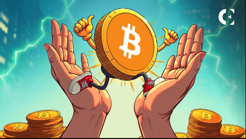 2025年比特币价格展望：BTC飙升至30万美元？以太坊突破1万美元？ - 创想鸟