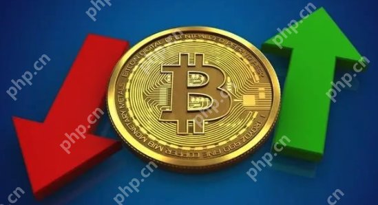 比特币价格2025年预测：BTC突破25万美元？波卡攀升至200美元？ - 创想鸟