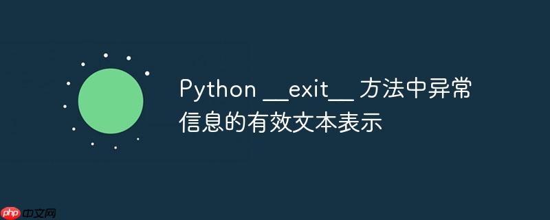 python __exit__ 方法中异常信息的有效文本表示
