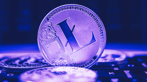 比特币与莱特币的区别是什么？哪个更有潜力？莱特币会超越比特币吗？ - 创想鸟