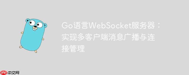 Go语言WebSocket服务器：实现多客户端消息广播与连接管理