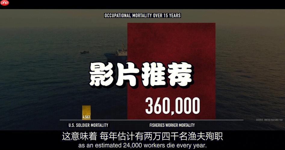 荐片电脑版怎么清理缓存 荐片PC端存储空间管理方法